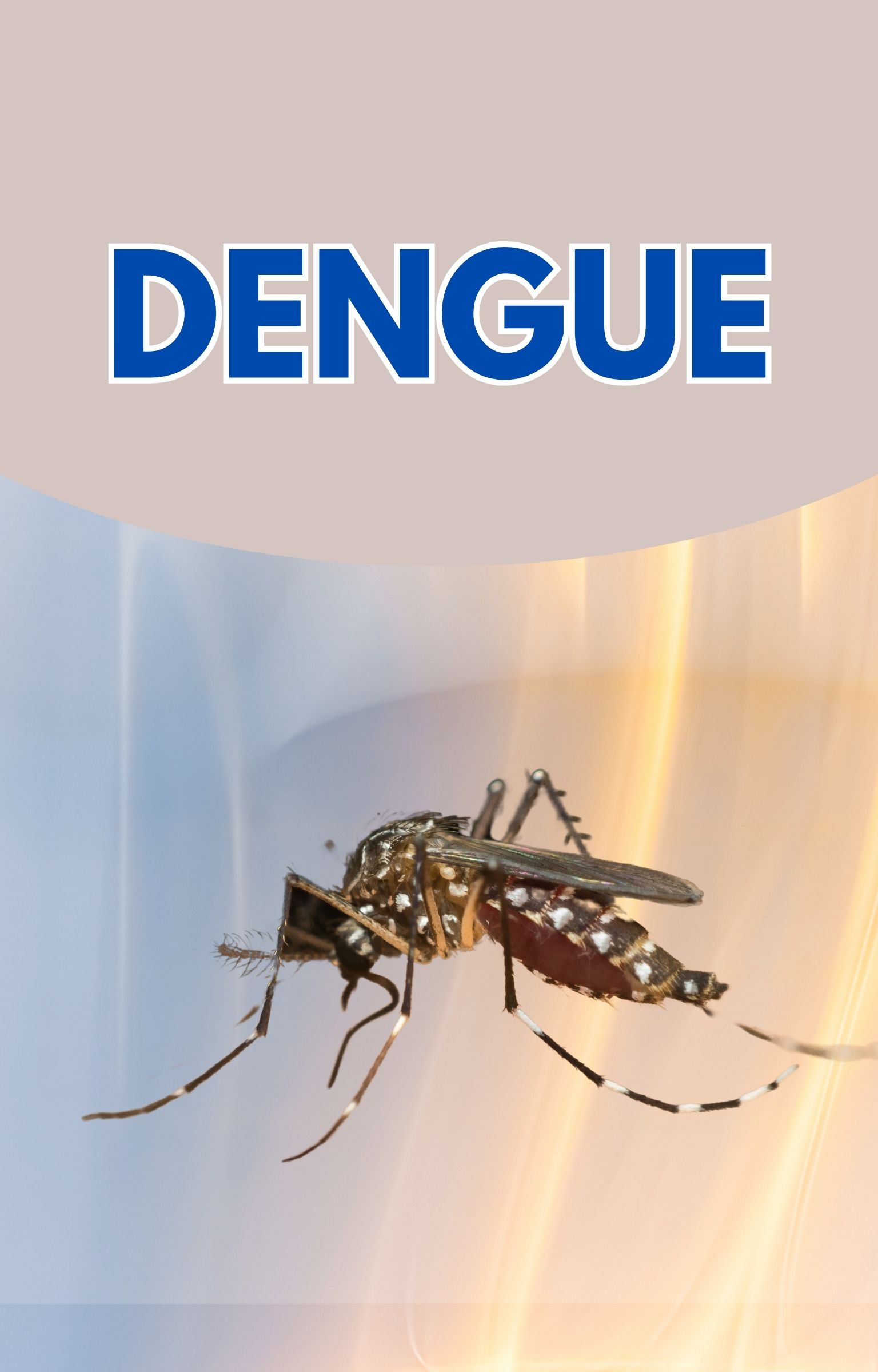 Dengue